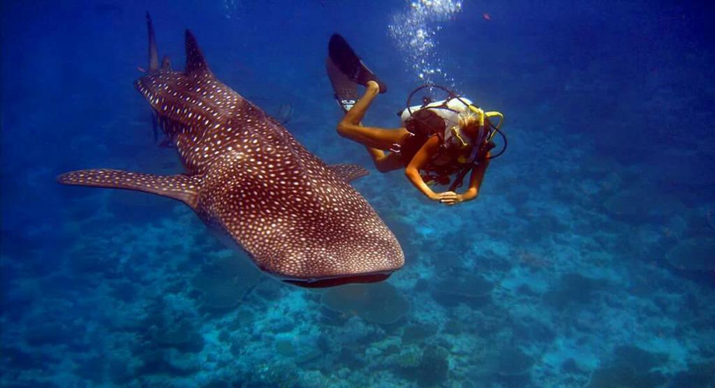 Hotel Batuta Maldives Surf View Thulusdhoo Exterior foto